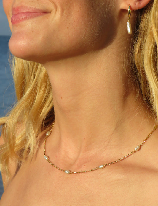 Freshwater & Figario